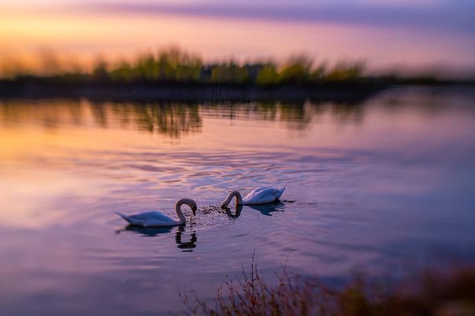 Christina Lourenço 1