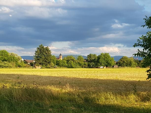 Christine Tuckermann_Landschaft