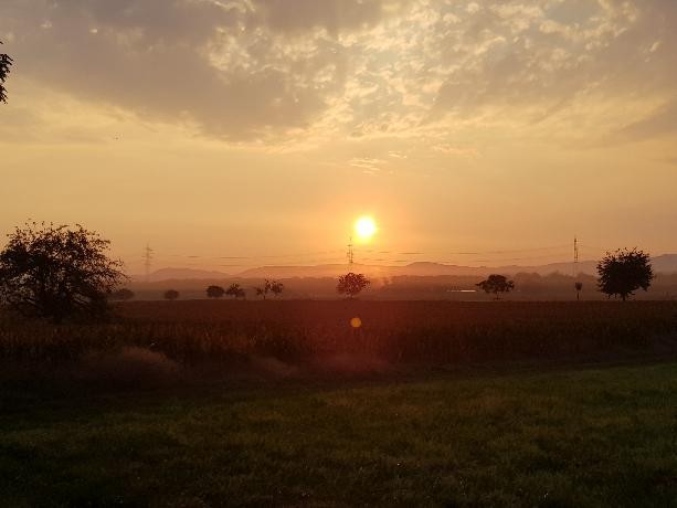 Christine Tuckermann_Sonne_1