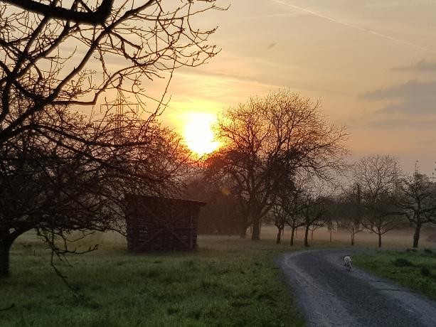 Christine Tuckermann_Sonne_2