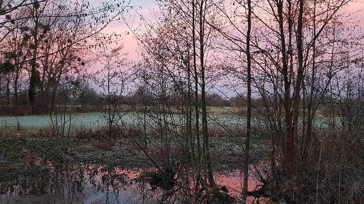 Morgens am Mühlbach - U. Schweier-Schmidt